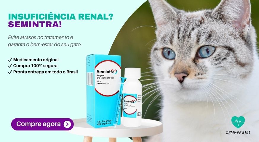 Banner Esquerdo